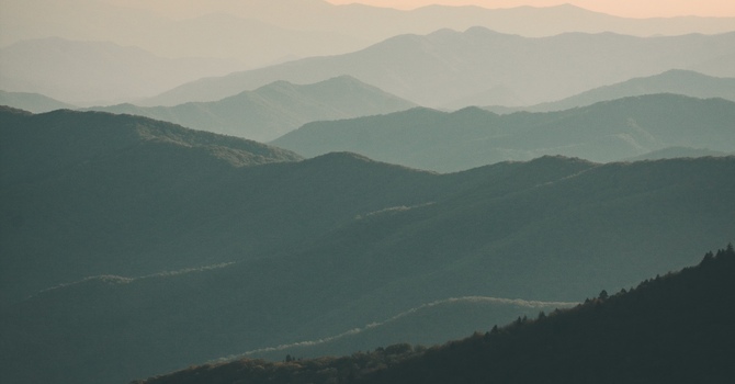 Concussion Management