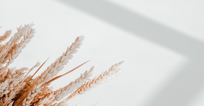 Concussion Management